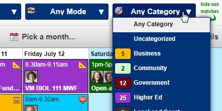 Filter by category in the calendar